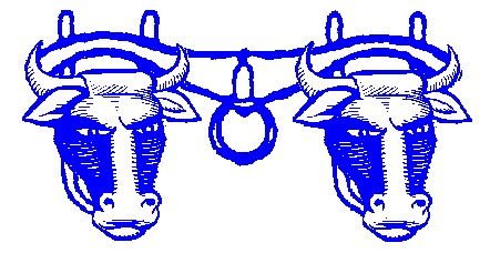 Yoke_Of_Oxen